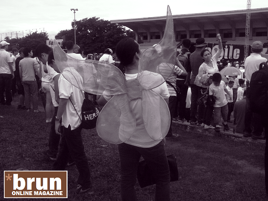 Pork barrel issue summary picture